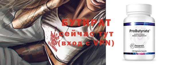 гидра Инта