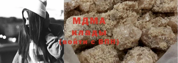 гидра Инта