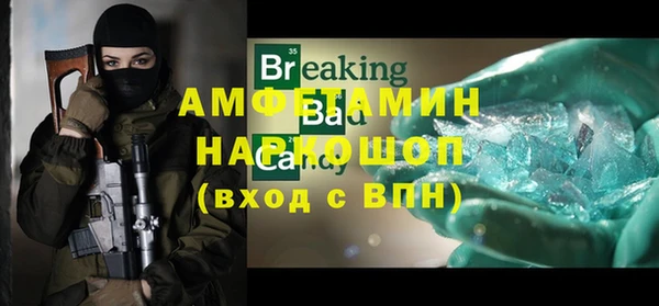 гидра Инта