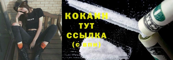 гидра Инта
