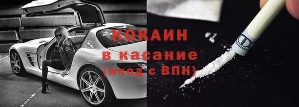 гидра Инта
