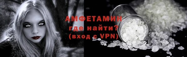 гидра Инта