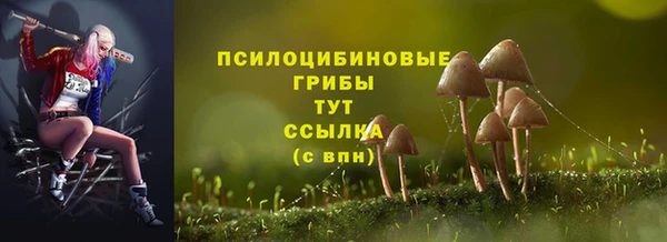 ALPHA-PVP Инсар