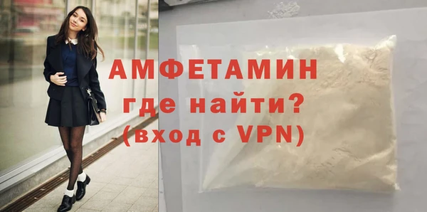 гидра Инта
