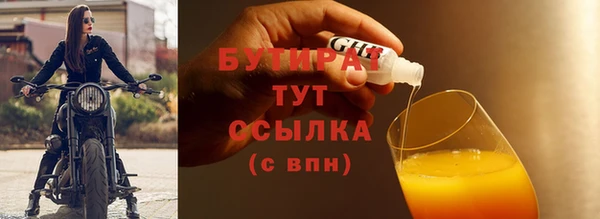 гидра Инта