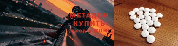 гидра Инта