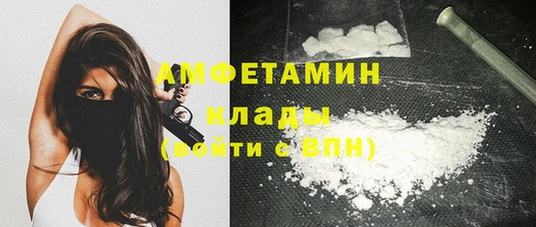 гидра Инта